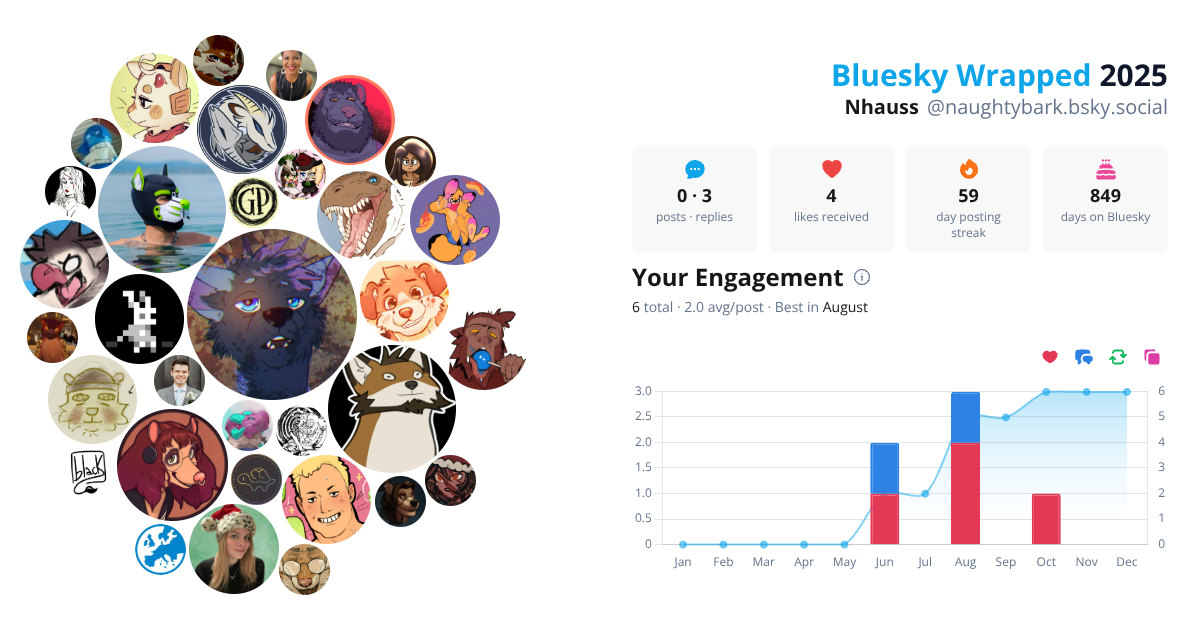 Your Bluesky Wrapped 2025 preview