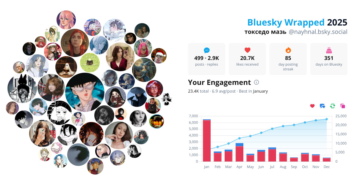 Your Bluesky Wrapped 2025 preview