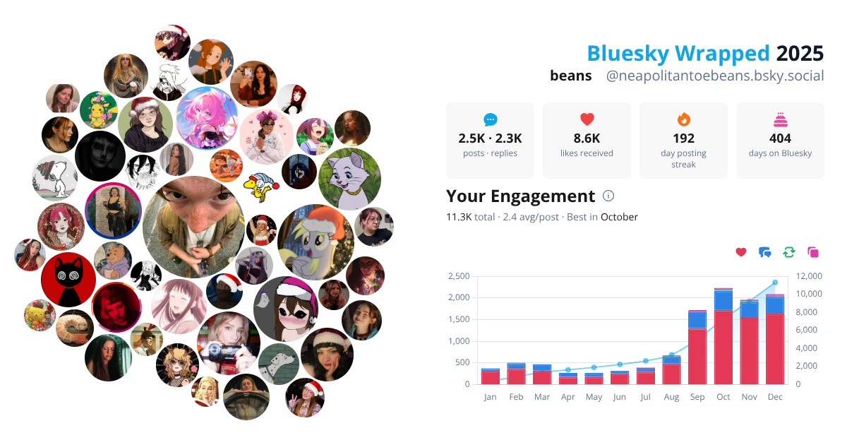 Your Bluesky Wrapped 2025 preview