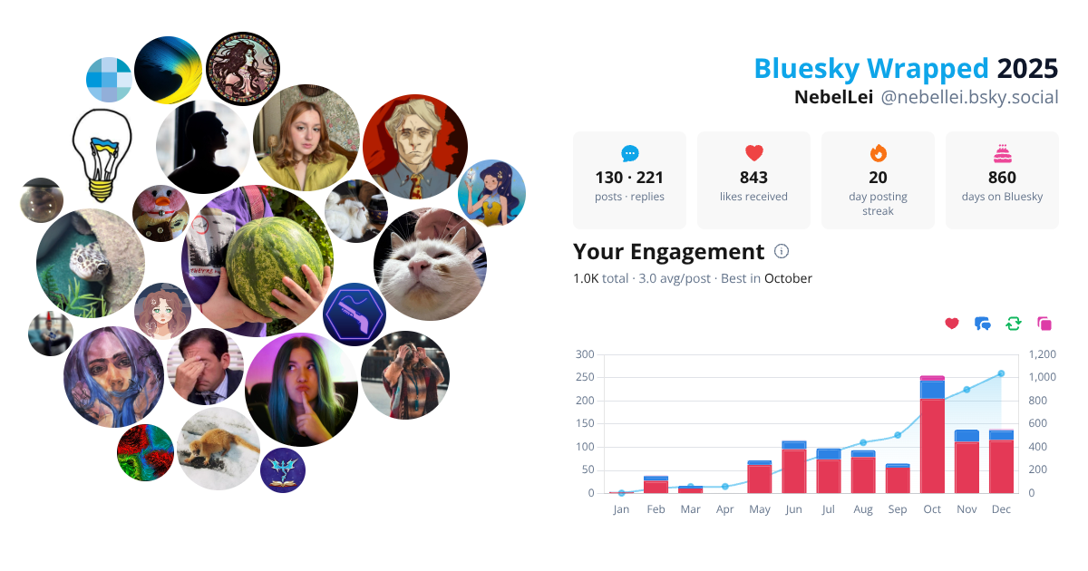 Your Bluesky Wrapped 2025 preview
