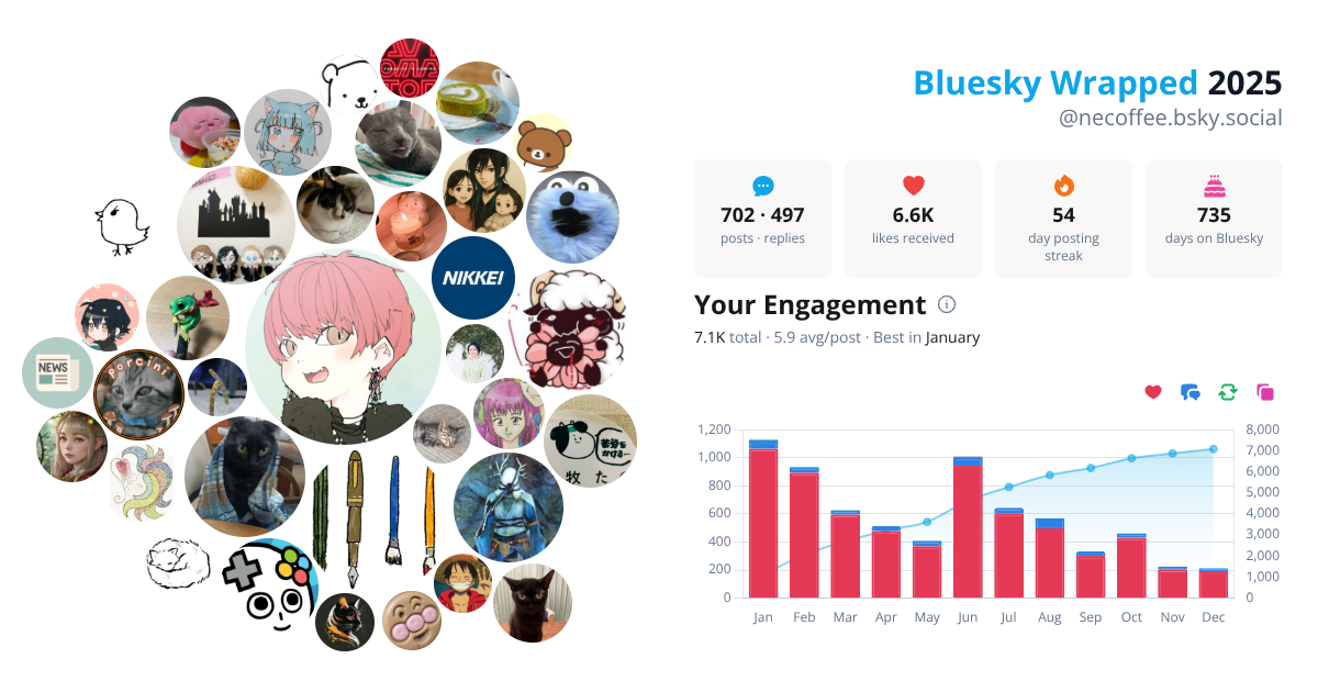 Your Bluesky Wrapped 2025 preview