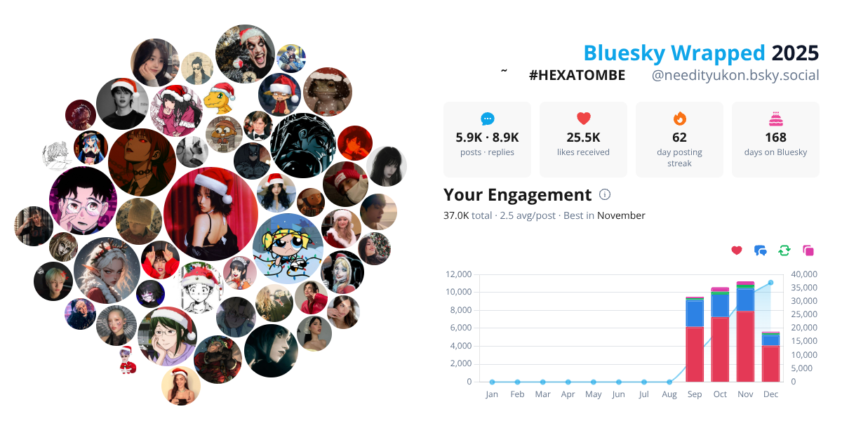Your Bluesky Wrapped 2025 preview