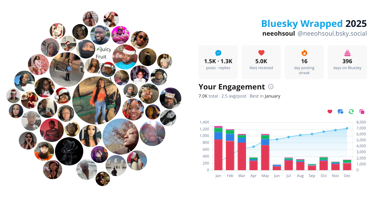 Your Bluesky Wrapped 2025 preview