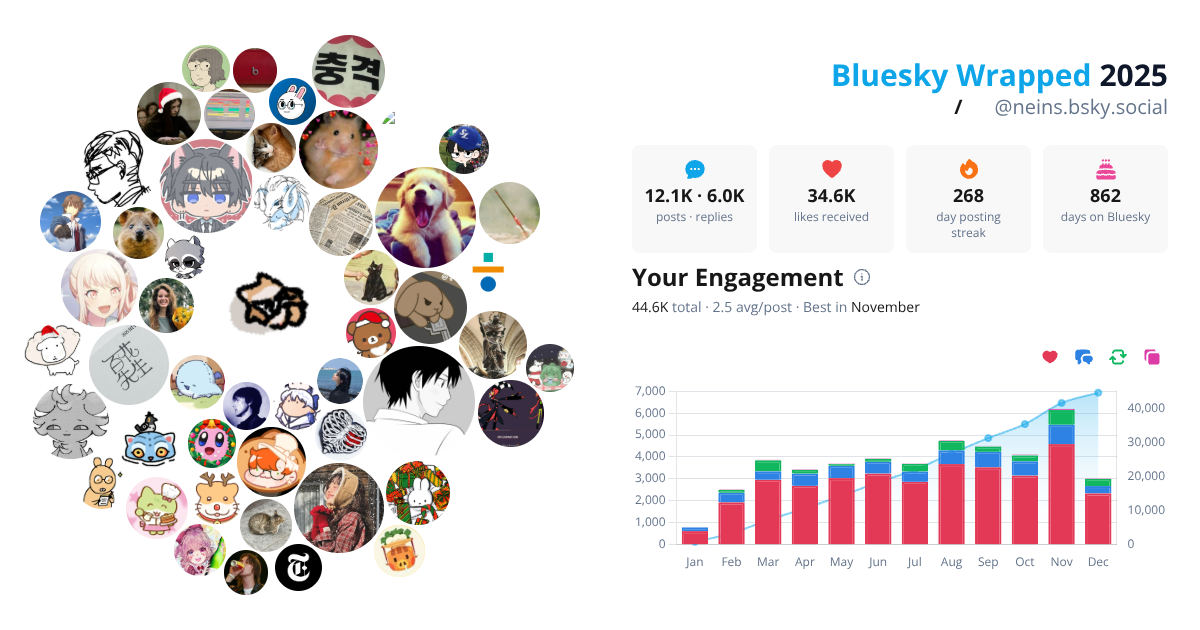 Your Bluesky Wrapped 2025 preview