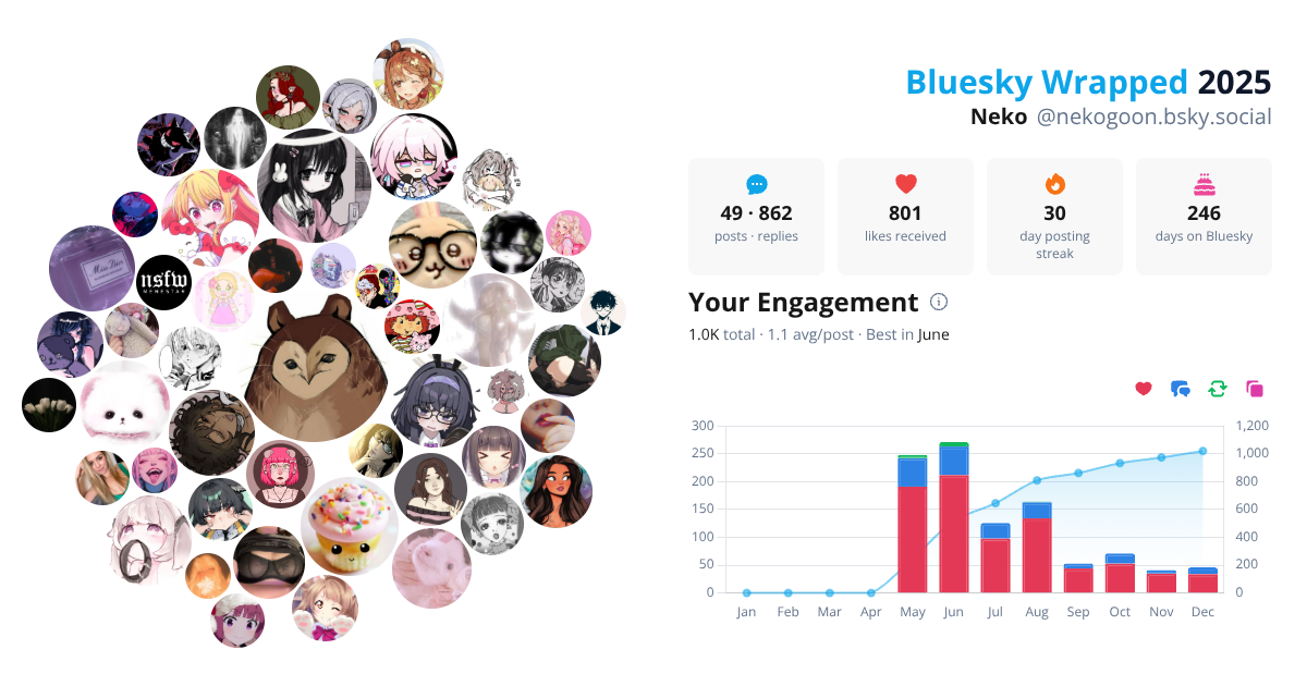 Your Bluesky Wrapped 2025 preview