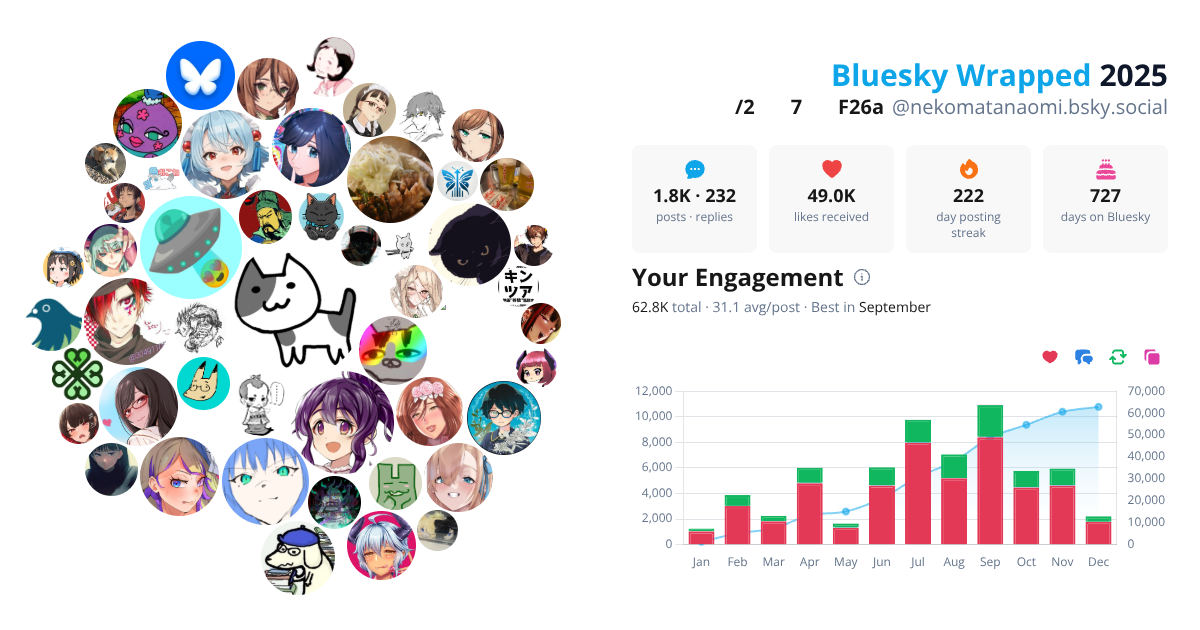 Your Bluesky Wrapped 2025 preview