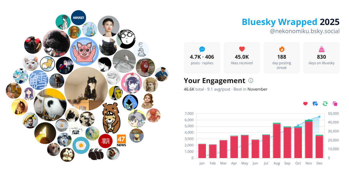 Your Bluesky Wrapped 2025 preview
