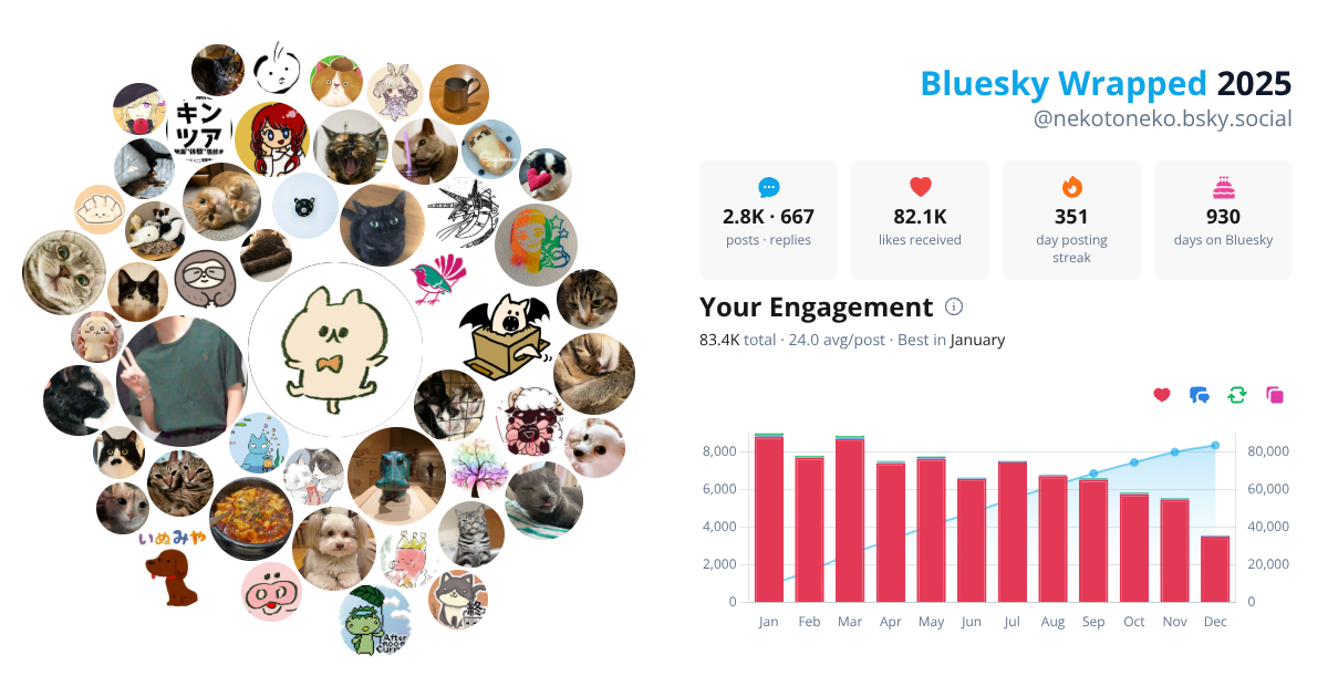 Your Bluesky Wrapped 2025 preview