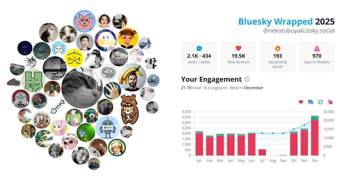 Your Bluesky Wrapped 2025 preview