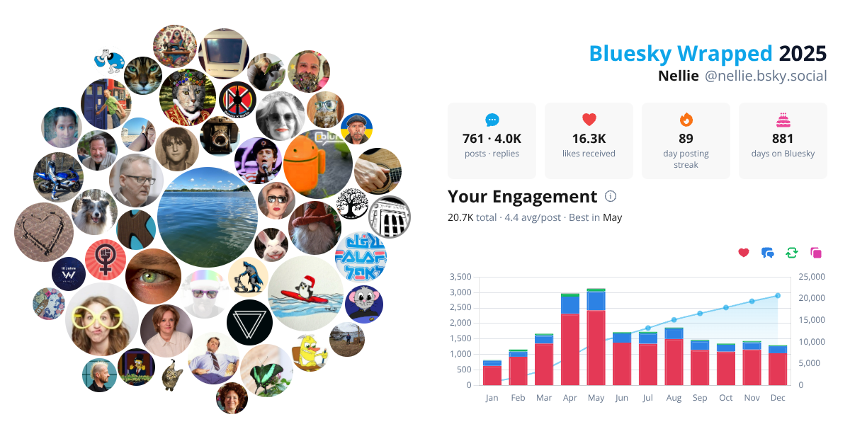 Your Bluesky Wrapped 2025 preview