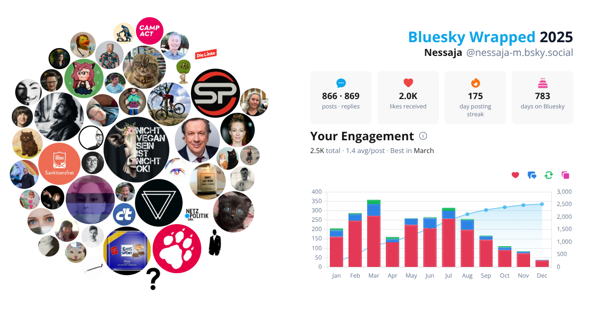 Your Bluesky Wrapped 2025 preview