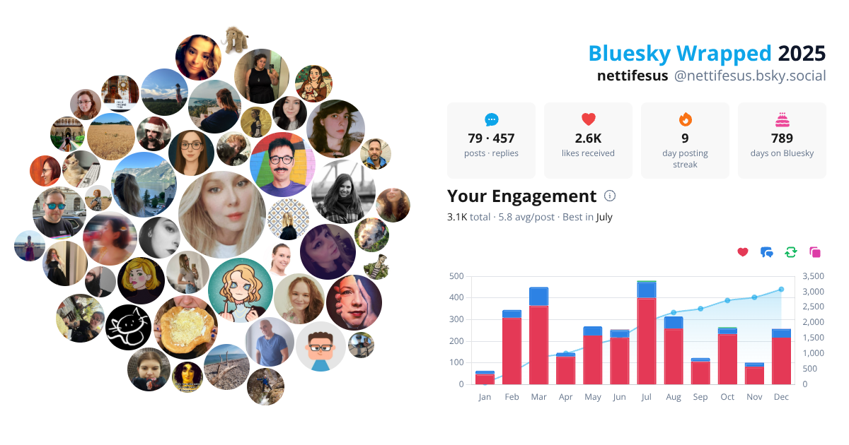 Your Bluesky Wrapped 2025 preview