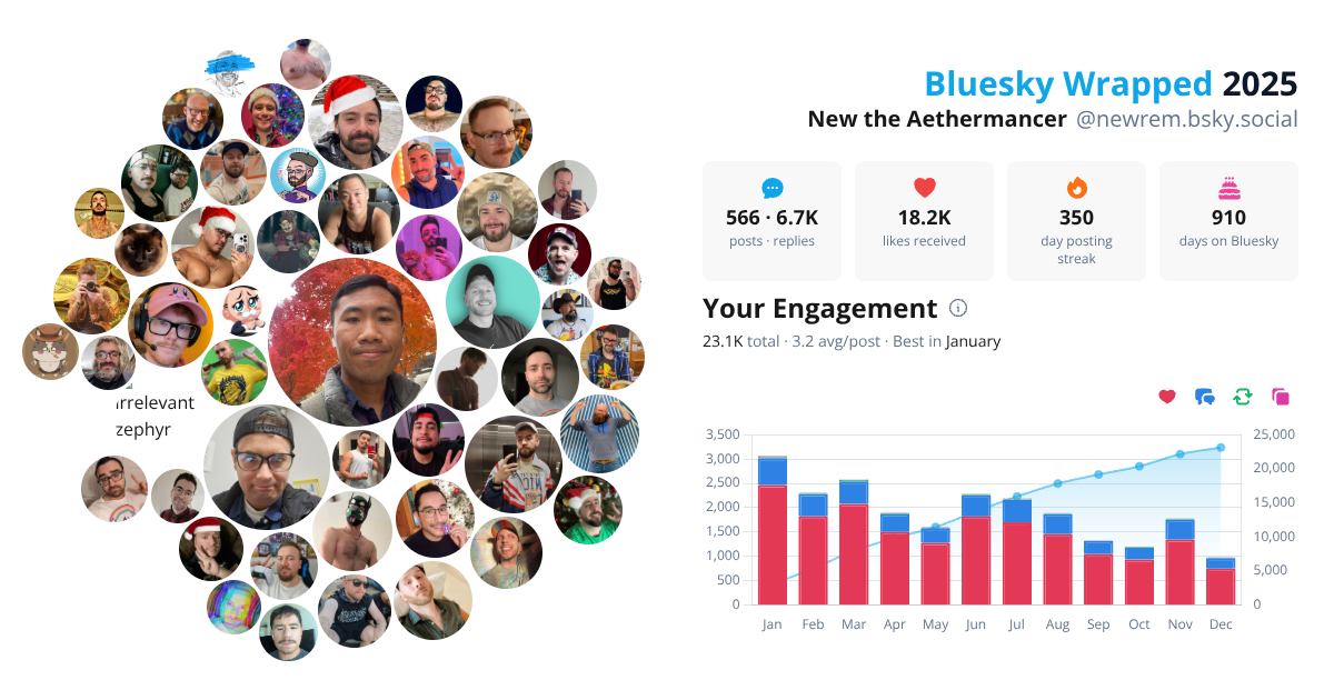 Your Bluesky Wrapped 2025 preview