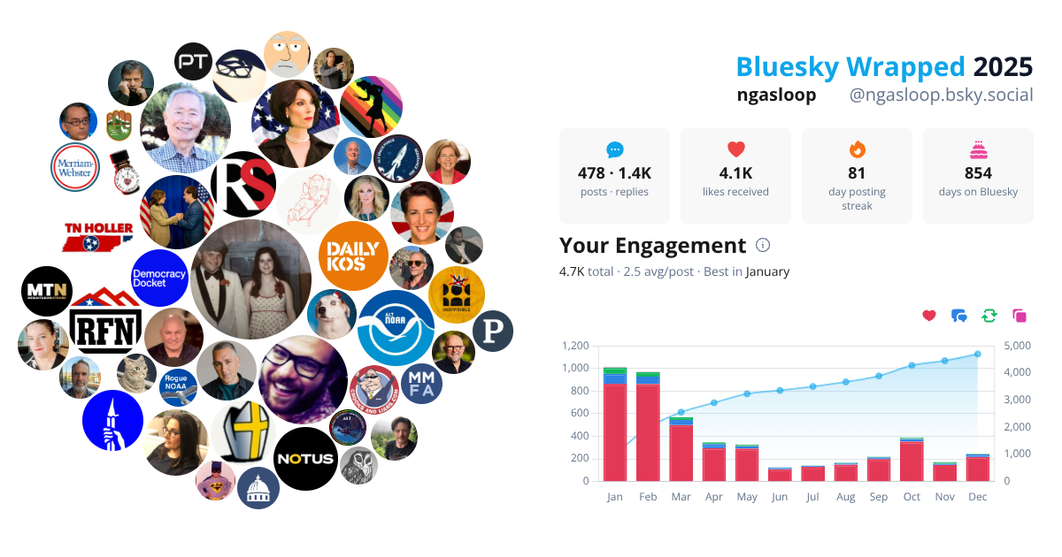 Your Bluesky Wrapped 2025 preview