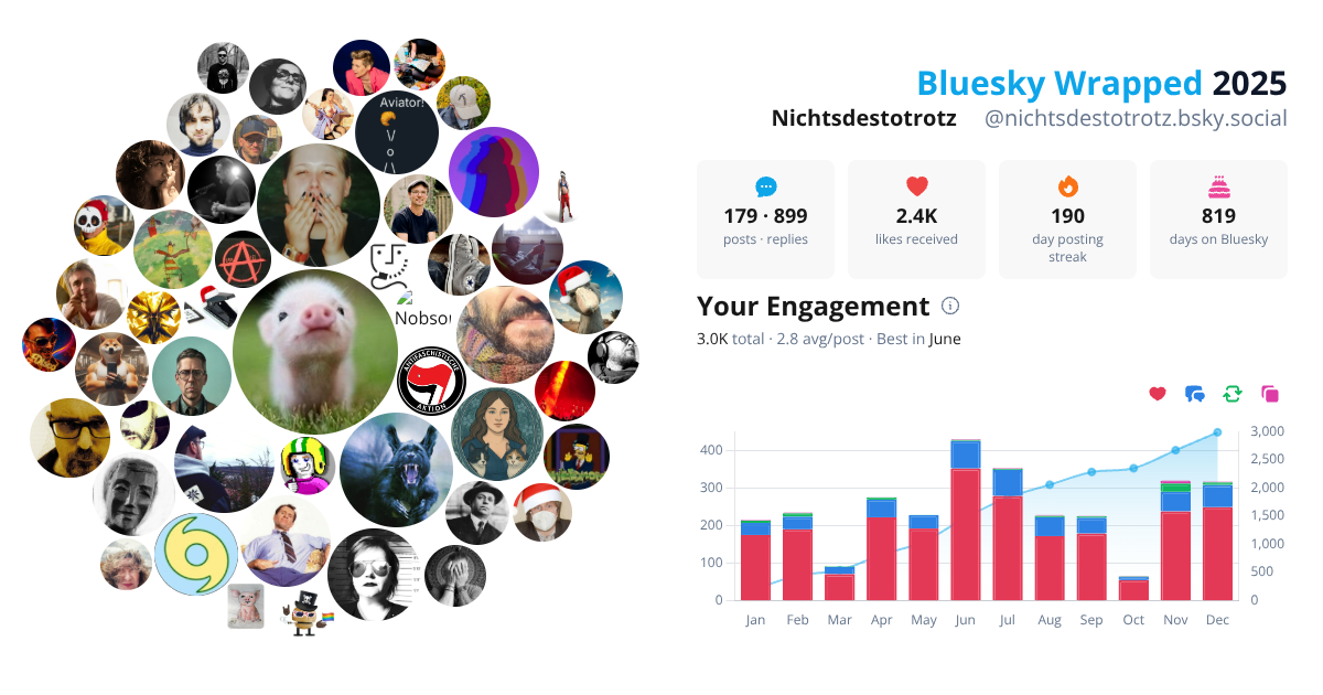 Your Bluesky Wrapped 2025 preview