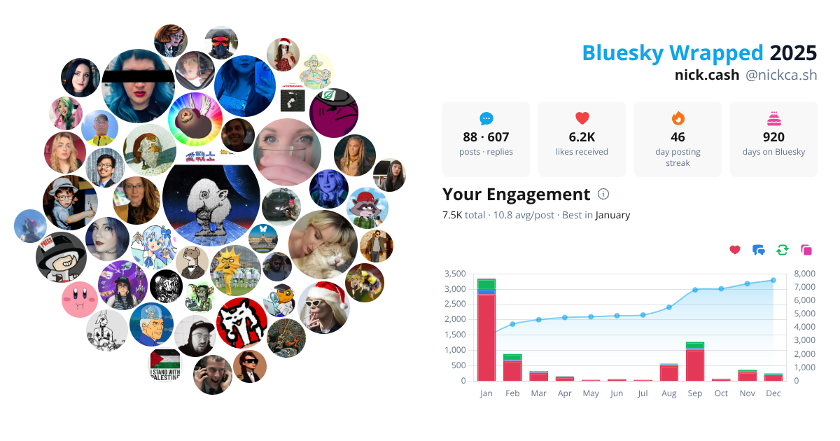 Your Bluesky Wrapped 2025 preview