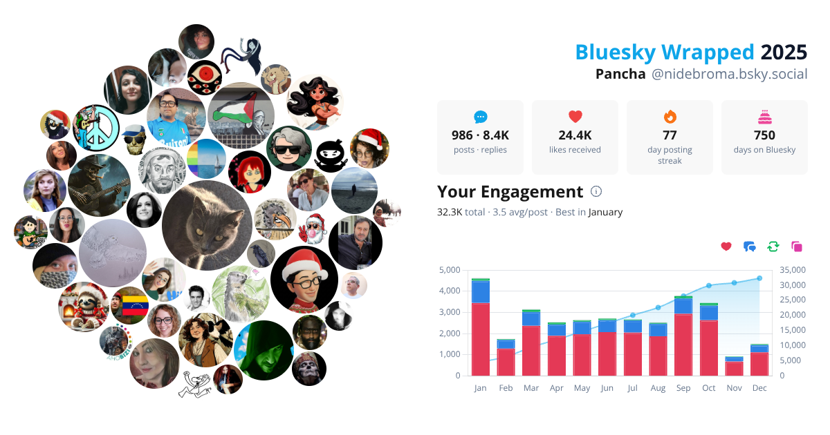 Your Bluesky Wrapped 2025 preview