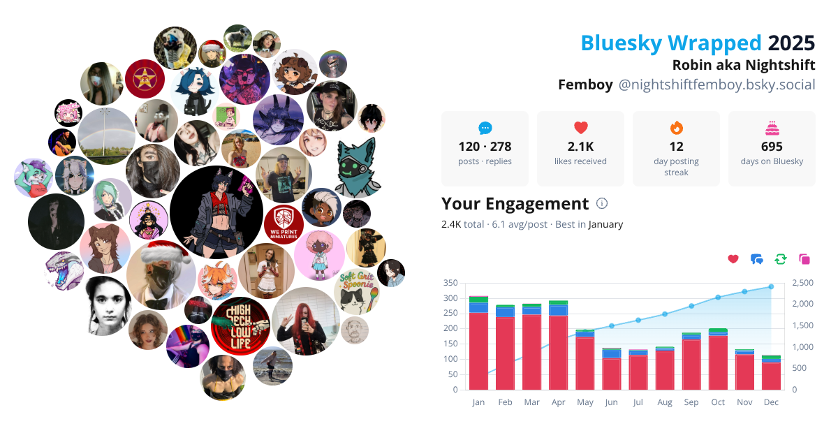 Your Bluesky Wrapped 2025 preview