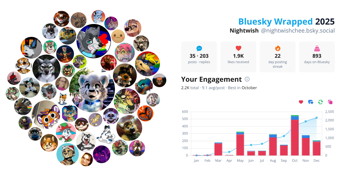 Your Bluesky Wrapped 2025 preview