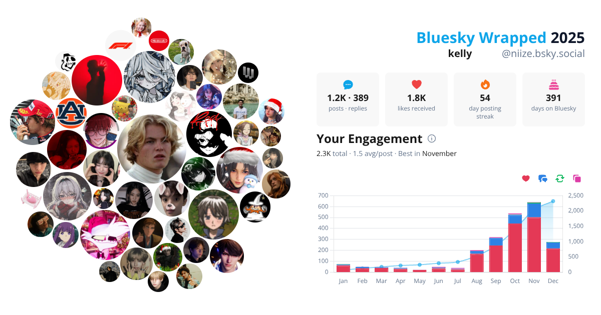Your Bluesky Wrapped 2025 preview