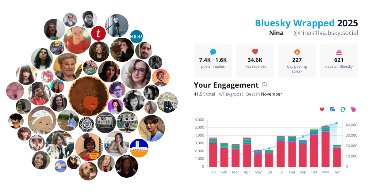 Your Bluesky Wrapped 2025 preview