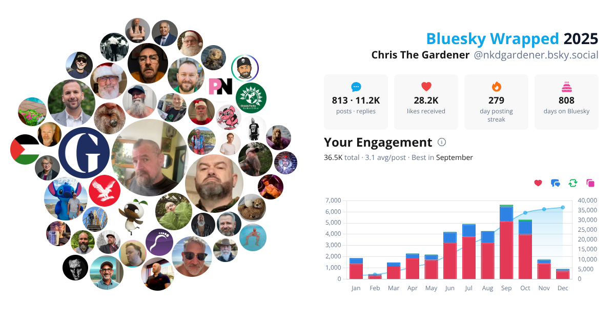 Your Bluesky Wrapped 2025 preview