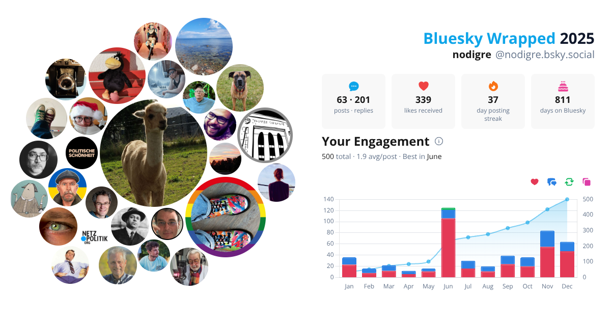 Your Bluesky Wrapped 2025 preview