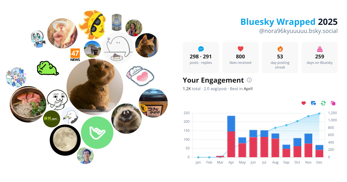 Your Bluesky Wrapped 2025 preview