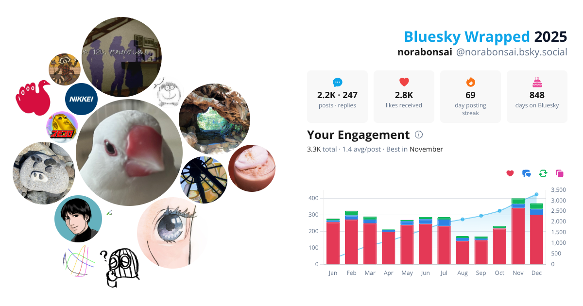 Your Bluesky Wrapped 2025 preview