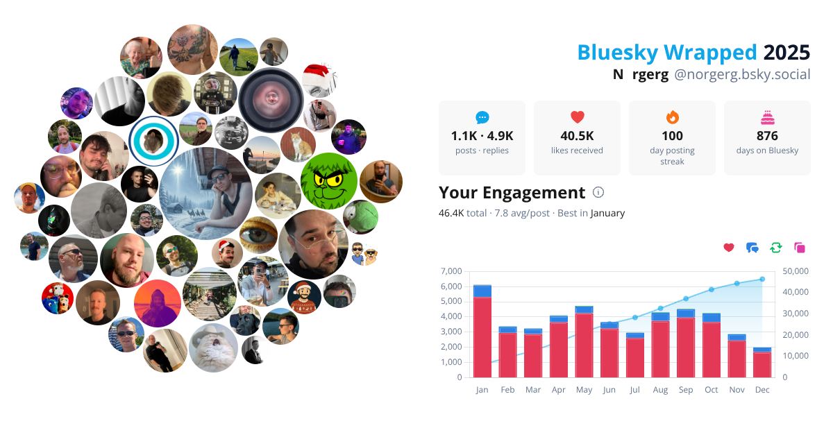 Your Bluesky Wrapped 2025 preview