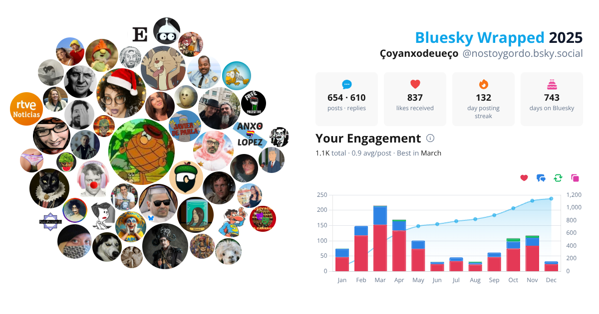 Your Bluesky Wrapped 2025 preview