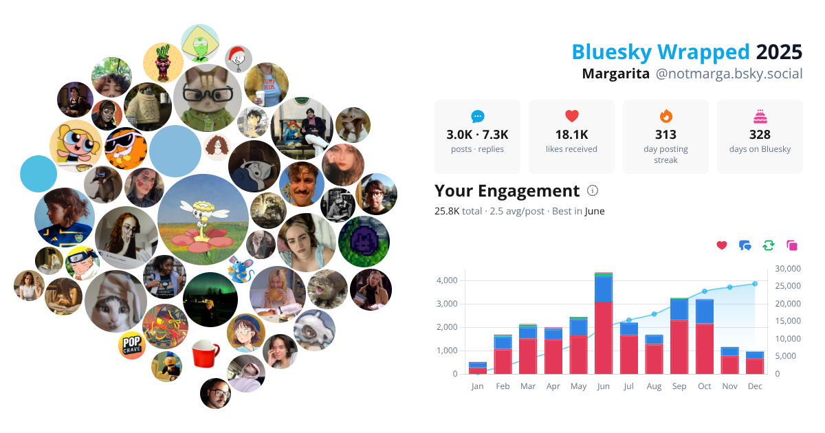 Your Bluesky Wrapped 2025 preview