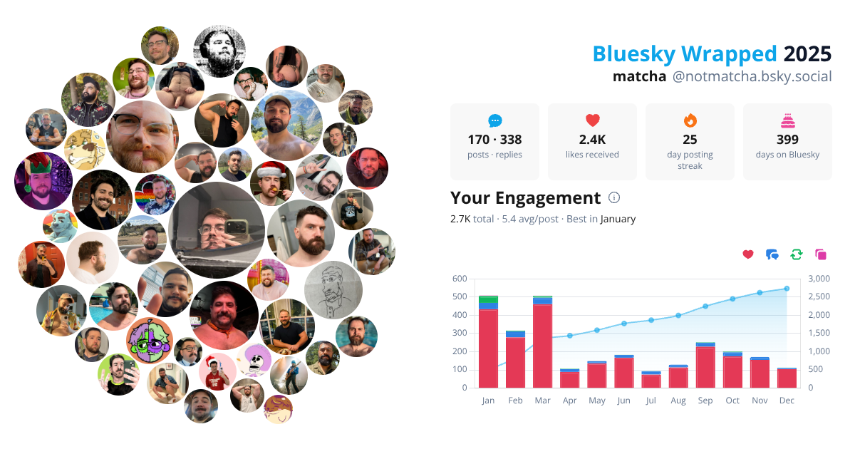 Your Bluesky Wrapped 2025 preview