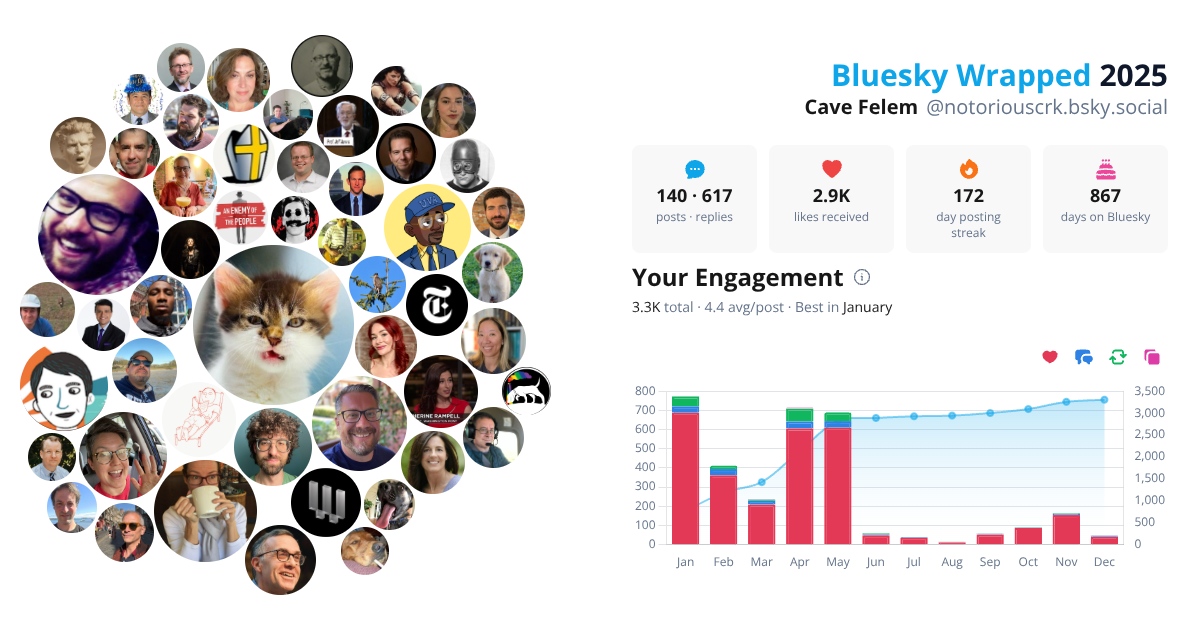 Your Bluesky Wrapped 2025 preview