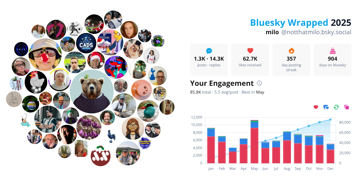 Your Bluesky Wrapped 2025 preview