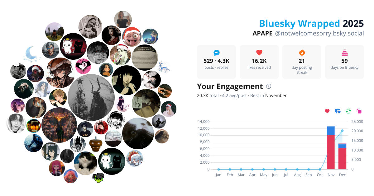 Your Bluesky Wrapped 2025 preview