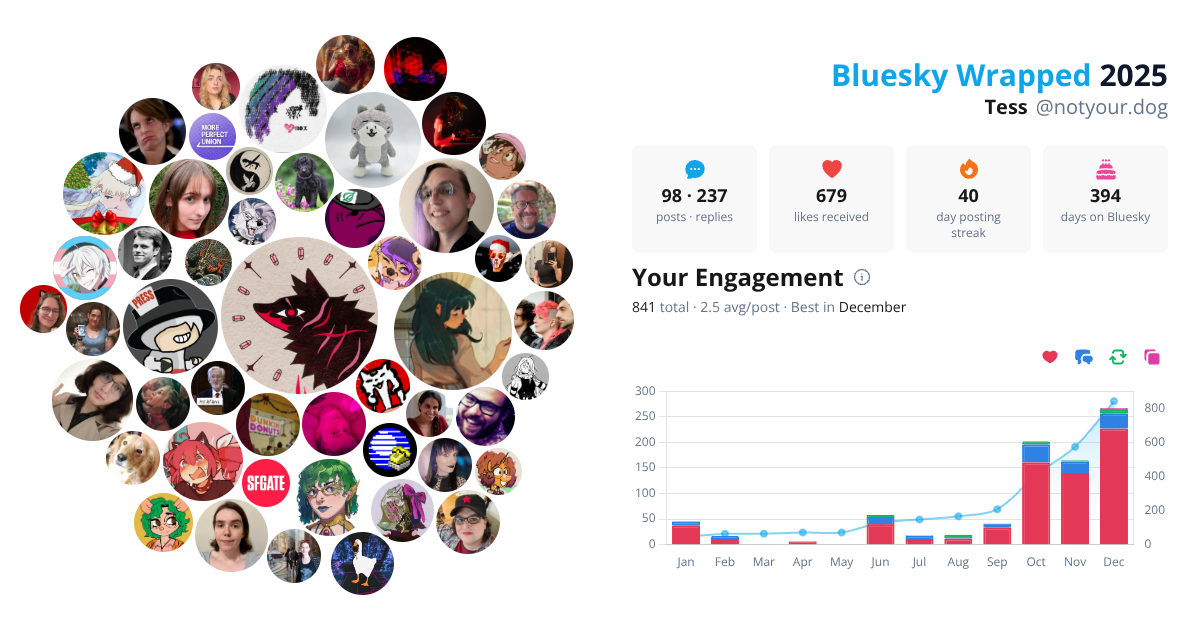 Your Bluesky Wrapped 2025 preview