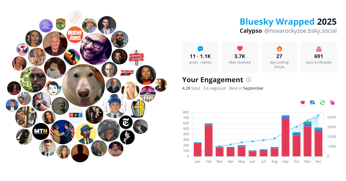Your Bluesky Wrapped 2025 preview