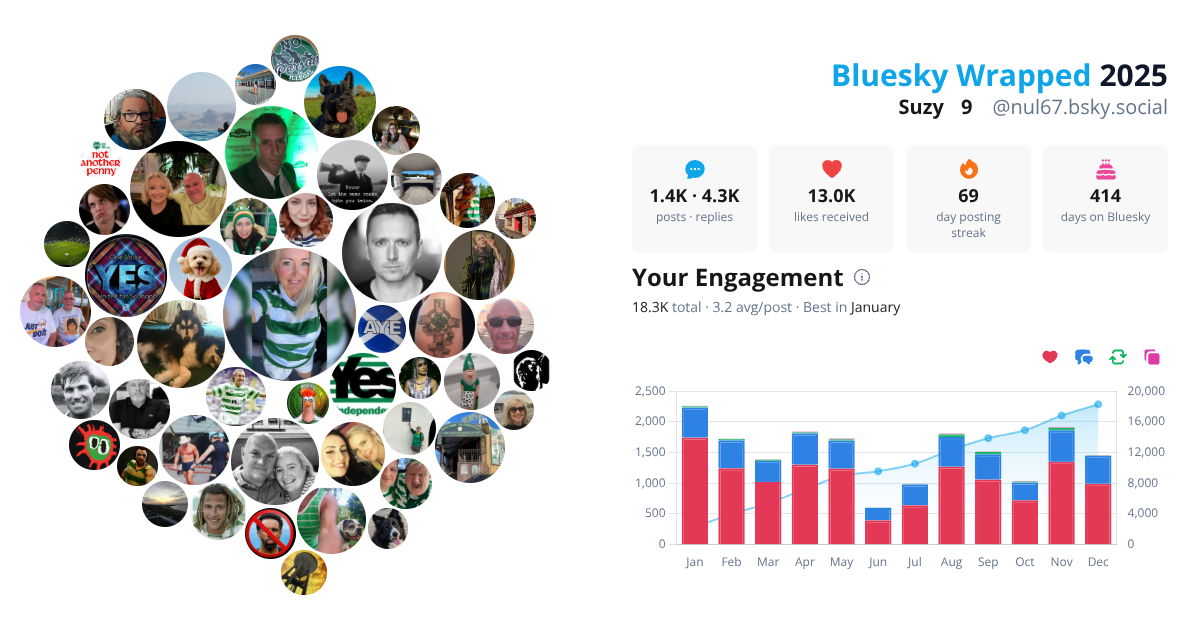 Your Bluesky Wrapped 2025 preview