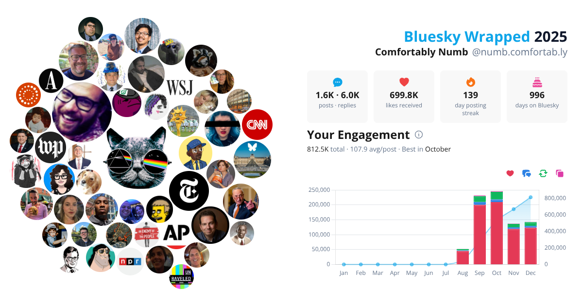 Your Bluesky Wrapped 2025 preview