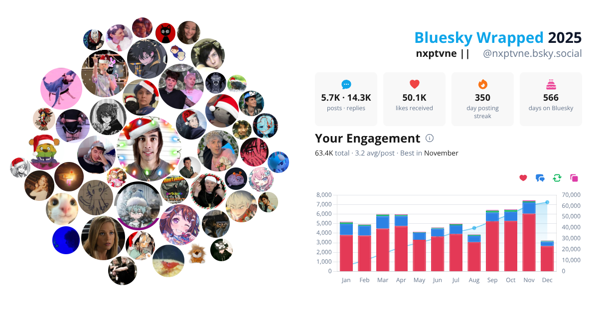 Your Bluesky Wrapped 2025 preview