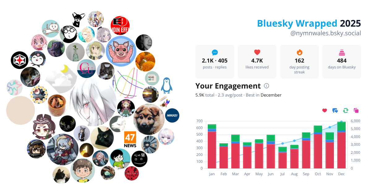 Your Bluesky Wrapped 2025 preview
