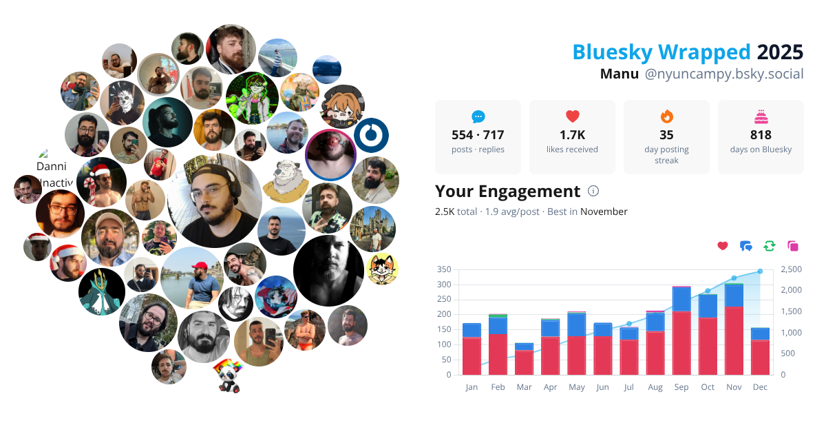 Your Bluesky Wrapped 2025 preview