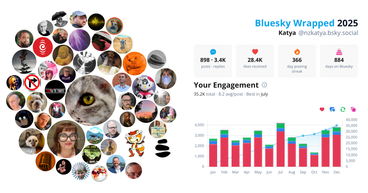 Your Bluesky Wrapped 2025 preview