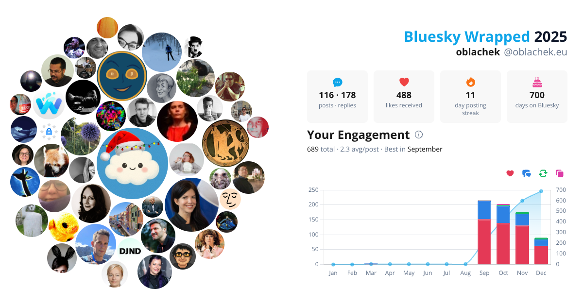 Your Bluesky Wrapped 2025 preview