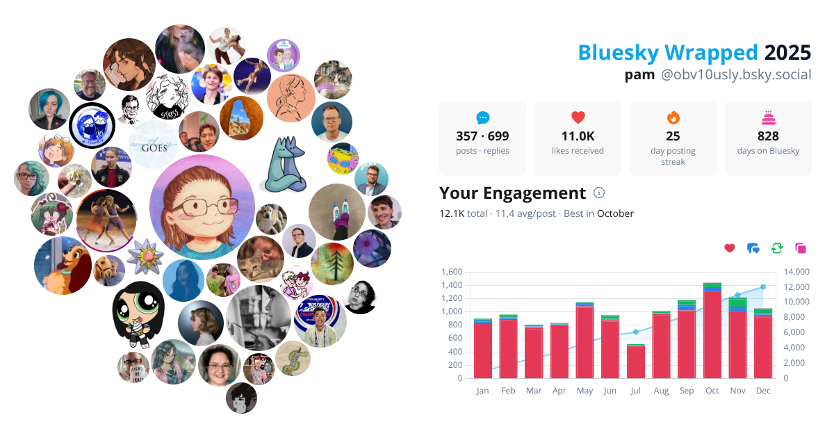 Your Bluesky Wrapped 2025 preview