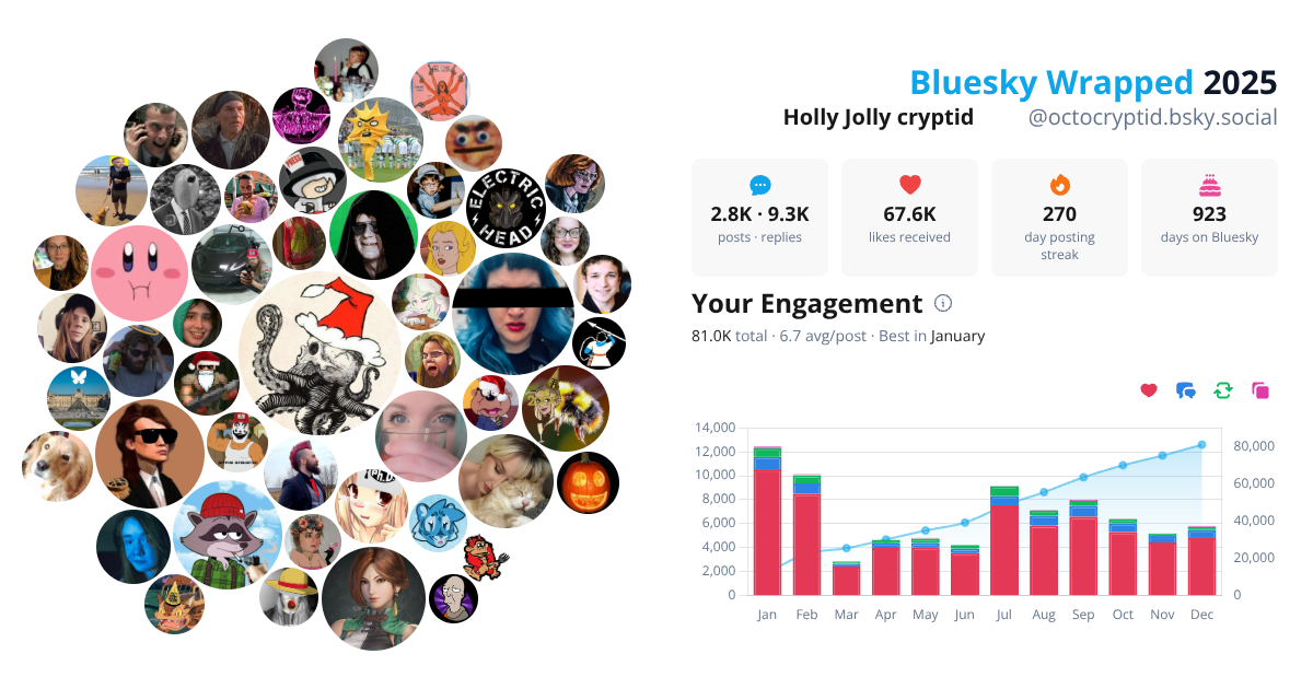 Your Bluesky Wrapped 2025 preview