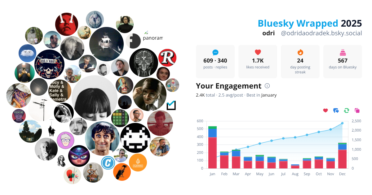 Your Bluesky Wrapped 2025 preview