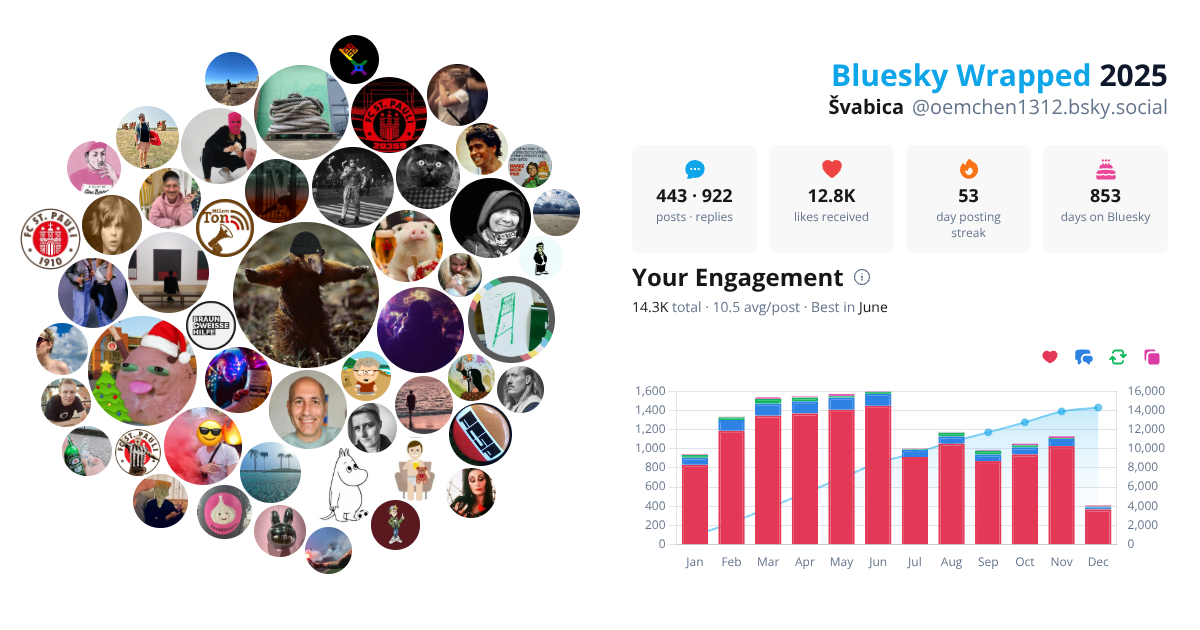 Your Bluesky Wrapped 2025 preview