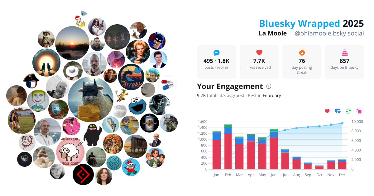 Your Bluesky Wrapped 2025 preview